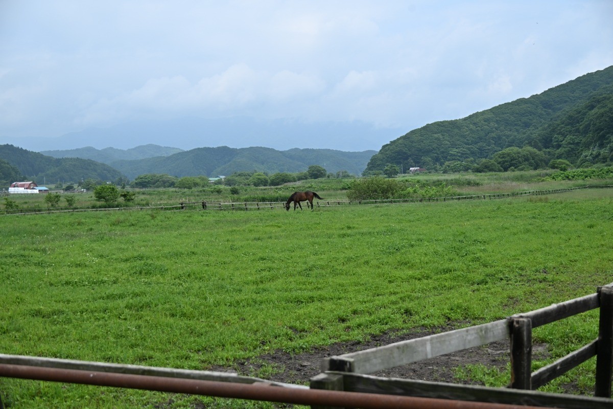 74baadc0ce5bd604fa617020b427fb28-1751520627.jpg